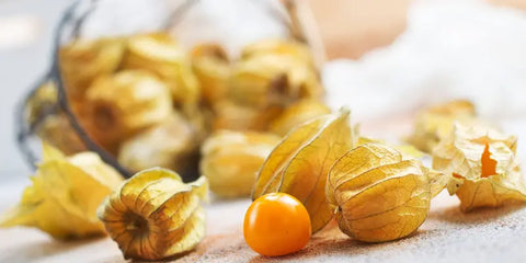 physalis comestible amoseeds specialiste des super aliments Bio