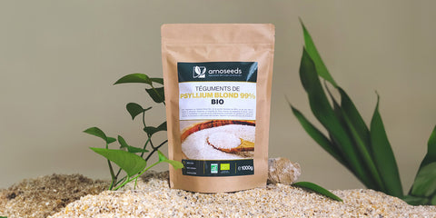 Psyllium teguments amoseeds specialiste des super aliments bio