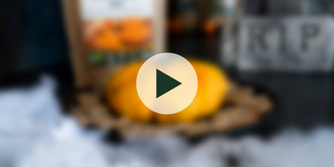 recette trompe oeil citrouille curcuma halloween amoseeds specialiste des super aliments Bio