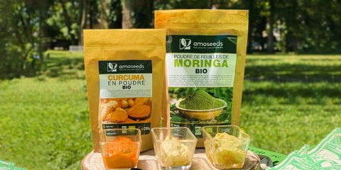 recette trio aperitif curcuma moringa Bio amoseeds specialiste des super aliments Bio