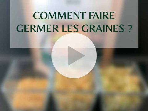 video tutoriel comment faire germer graines amoseeds specialiste des super aliments bio