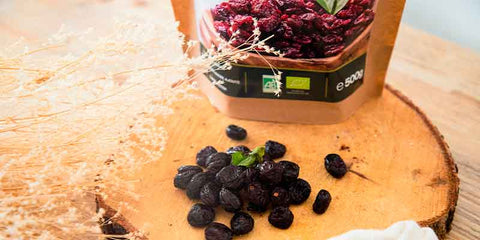 canneberge cranberry fruit rouge baie utilisation conservation proanthocyanidines qualite amoseeds specialiste des super aliments Bio