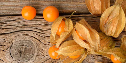 physalis bio amour en cage amoseeds specialiste des super aliments bio