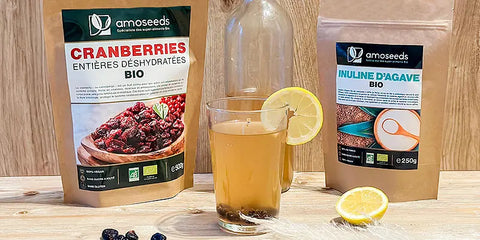 recette chocolat chaud hericium bio amoseeds specialiste des super aliments Bio