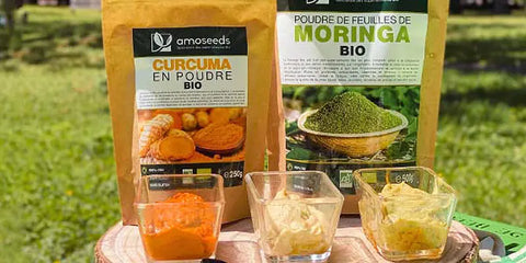 recette trio aperitif curcuma moringa amoseeds specialiste des super aliments Bio