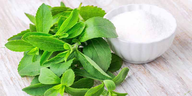 stevia alternative sucre blanc raffine amoseeds specialiste des super aliments Bio