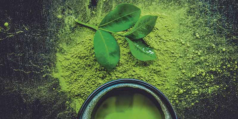 the matcha japonais poudre bio bienfaits amoseeds specialiste des super aliments bio