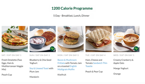 1200 calorie meal plan for weight loss and doctor