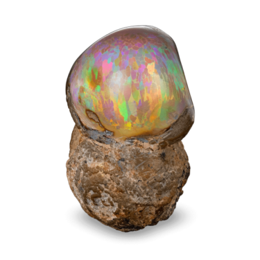 791.61-carat Ethiopian Mezezo Chocolate Opal Specimen