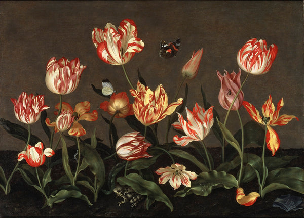 Still Life with Tulips by Johannes Bosschaert. 17th century.