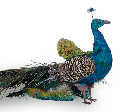 French Walking Peacock Automaton by Roullet et Decamps. Circa 1890. M.S. Rau.