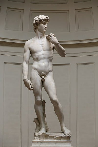 Above: Michelangelo’s 1501 David, regarded as one of the most famous works in all of _antique sculpture_ . Accademia Gallery, Florence, Italy. 