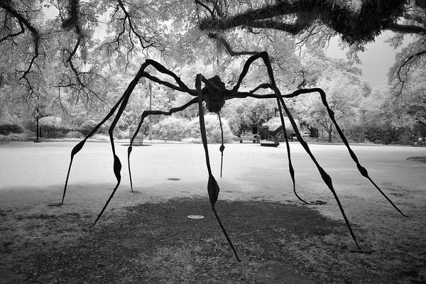 Louise Bourgeois, Spider, 1996 | Sydney and Walda Besthoff Sculpture Garden at New Orleans Museum of Art