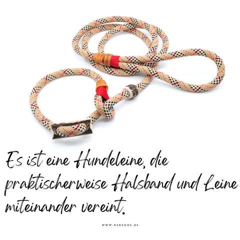 Was ist eine Retrieverleine? Halsband und Leine in einem