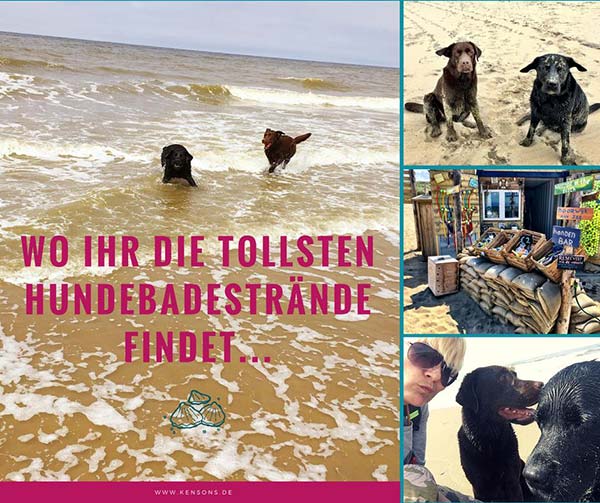 hundestraende urlaub mit hund holland niederlande hundeleine retrieverleine kensons for dogs koeln
