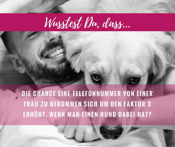 wusstest du dass hunde KENSONS for dogs Hundeleinen Retrieverleinen Köln