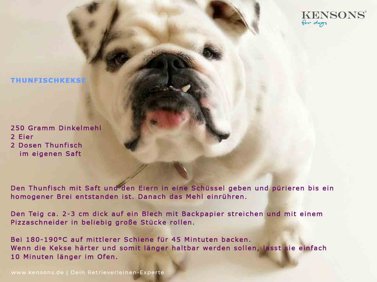 hundekekse selbstgemacht Thunfisch KENSONS for dogs hundeleine retrieverleine