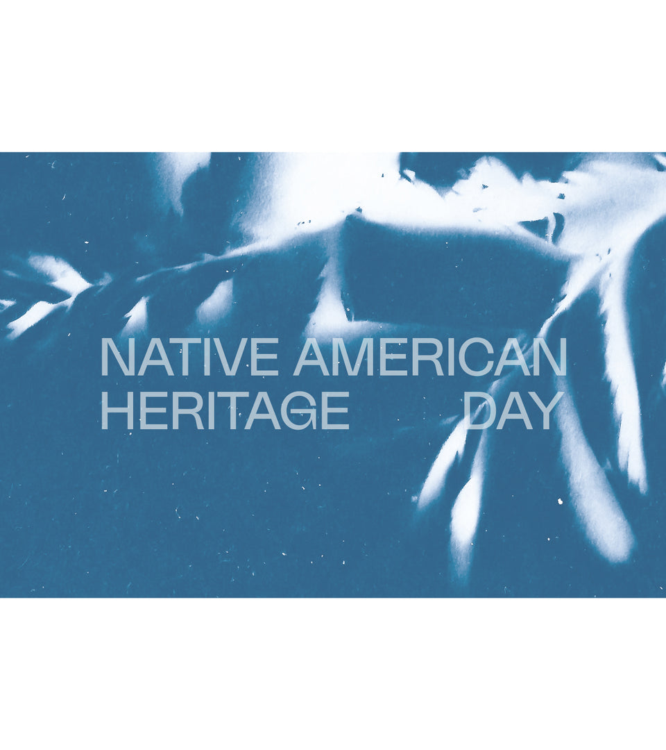 Community Stories Celebrating Native American Heritage Day Re—inc