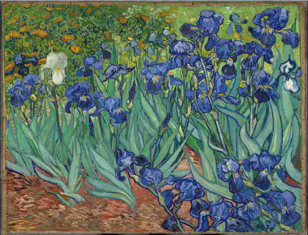 Tranh phong cảnh hoa diên vĩ Irises của Vincent Van Gogh