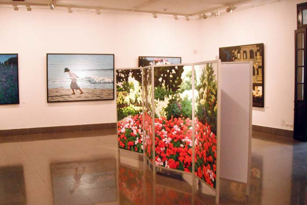 "Vườn của Monet", họa sĩ Phạm Luận