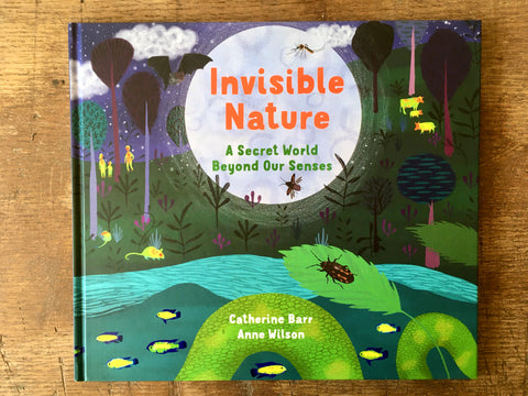 Invisible Nature, Catherine Barr, Anne Wilson, Otterbarry Books, 2020