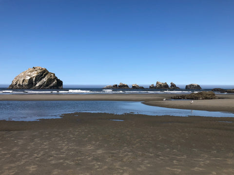 Face Rock in Bandon, OR