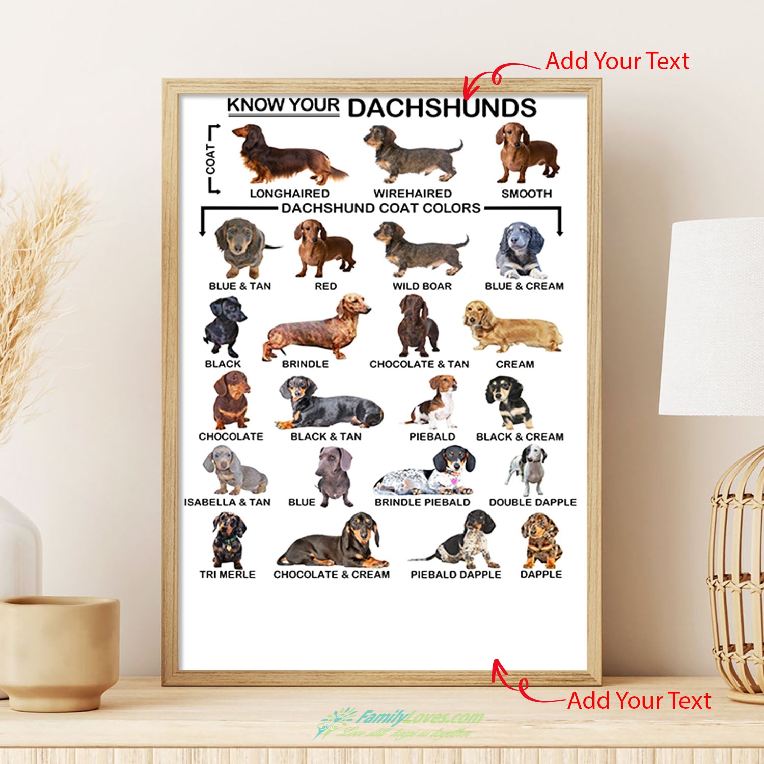 Dachshunds Canvas Wall Art For Living Room Poster Frames All Size 1