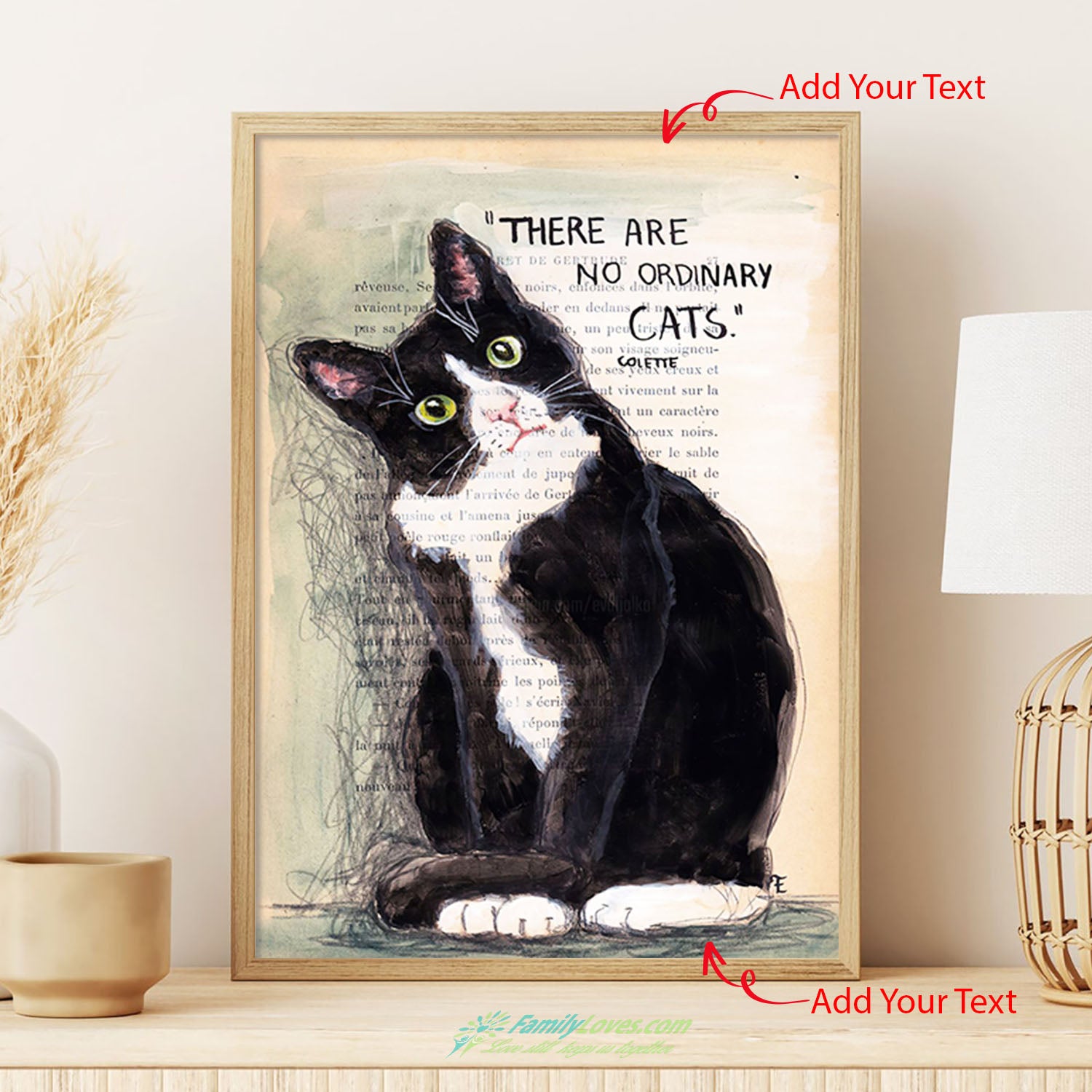 There Are No Ordinary Cats Collette Large Canvas Art Poster 12X16 All Size 1