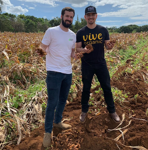 Vive Co-Founder out in the field harvesting ingredients