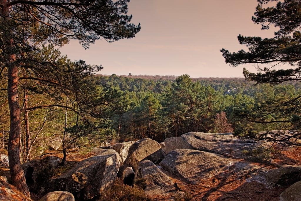 Sunset at Fontainebleau Bouldering Mecca