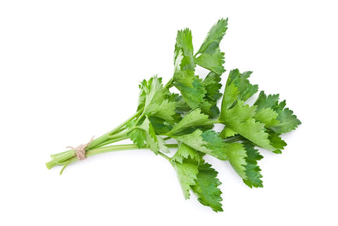 Fresh Parsley