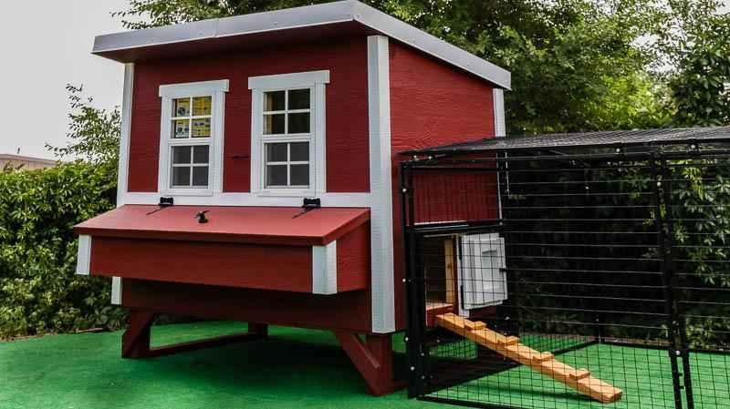 Medium Size Metal Chicken Run (7'Wx8'Lx4'H) | OverEZ Chicken Coop