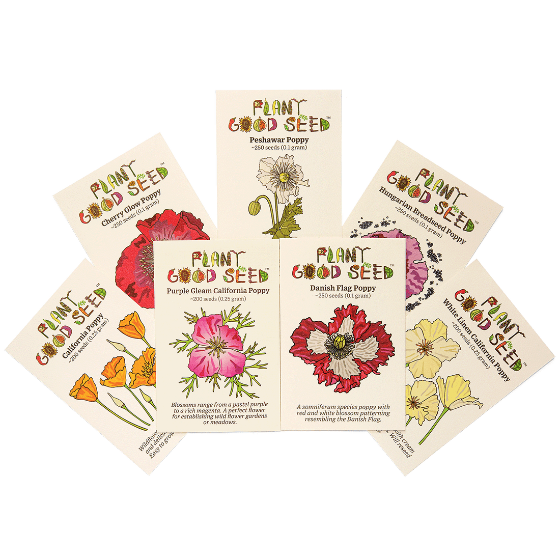 Seed Collections - The Plant Good Seed Company