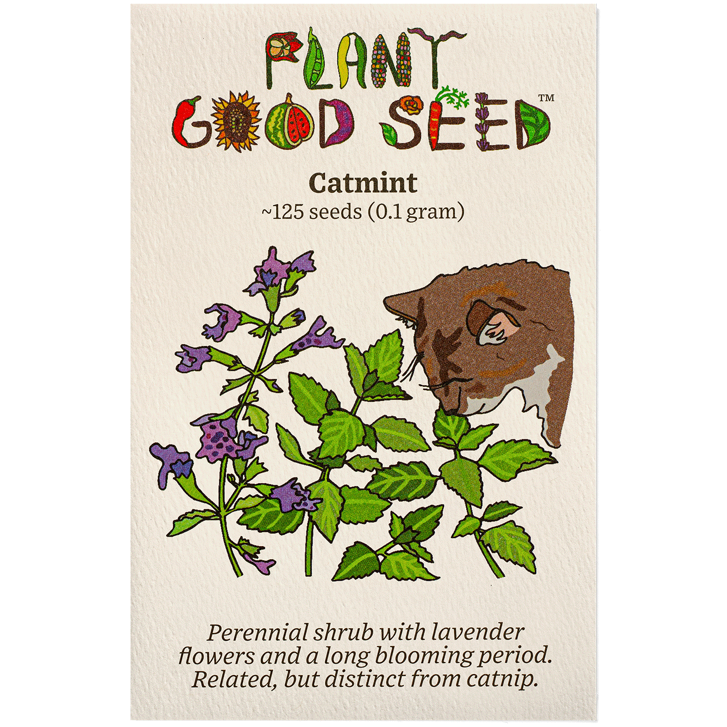 Catmint Seeds The Plant Good Seed Company