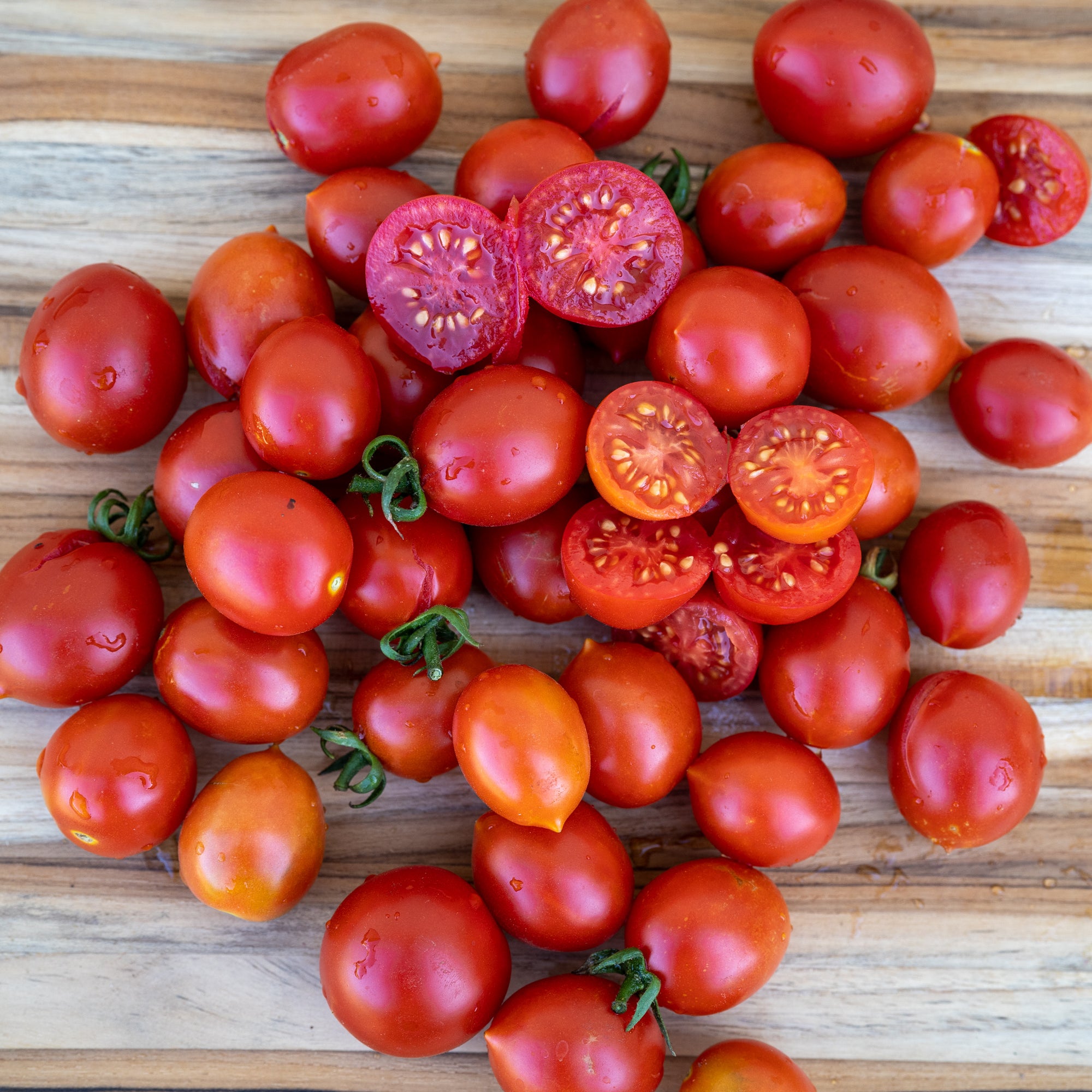 Brandywine Cherry Tomato - Renaissance Farms Heirloom Tomato Seeds