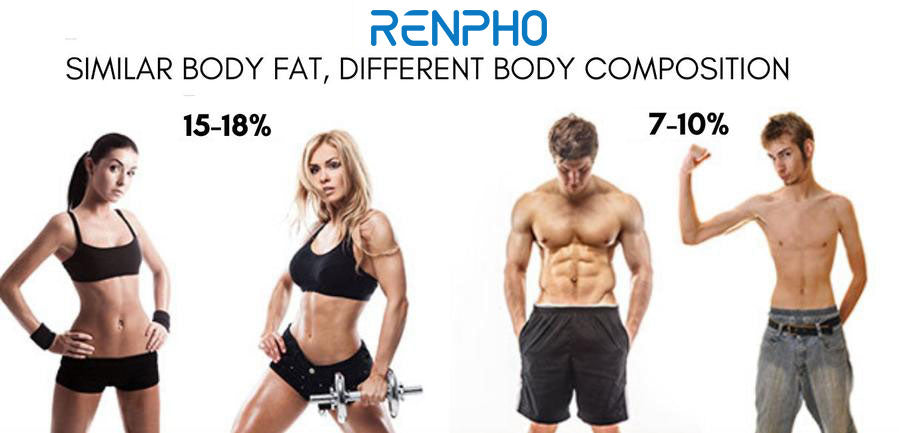 iDOO Vs RENPHO bluetooth bodyfat scale (Video) — Treadaway Training