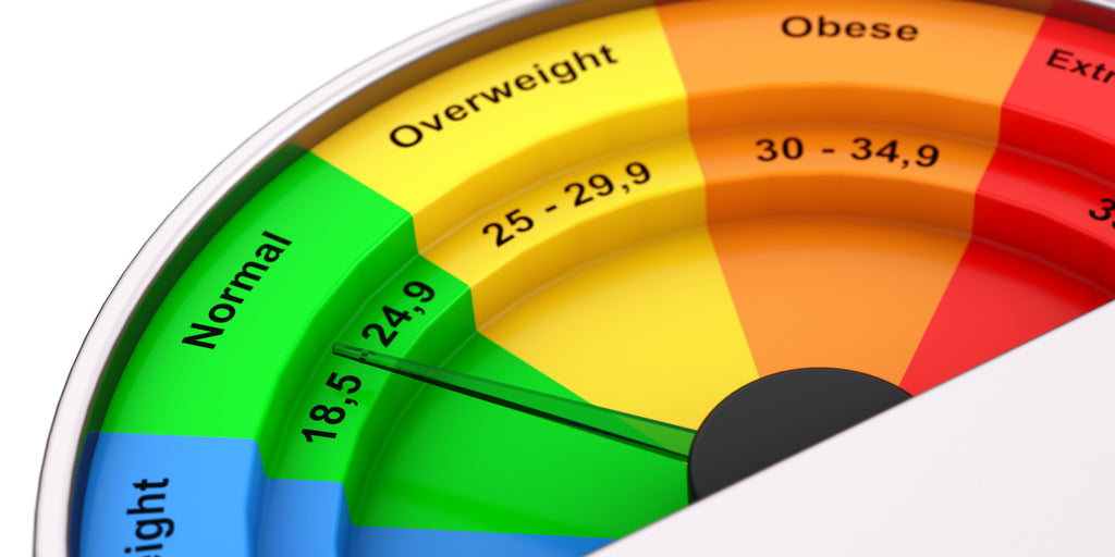 BMI Scale and What Does It Mean