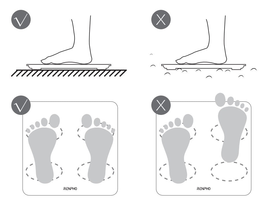 How to Calibrate Your RENPHO Scale: A Step-by-Step Guide – RENPHO US