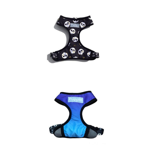 Double-sided bib with dog leash 