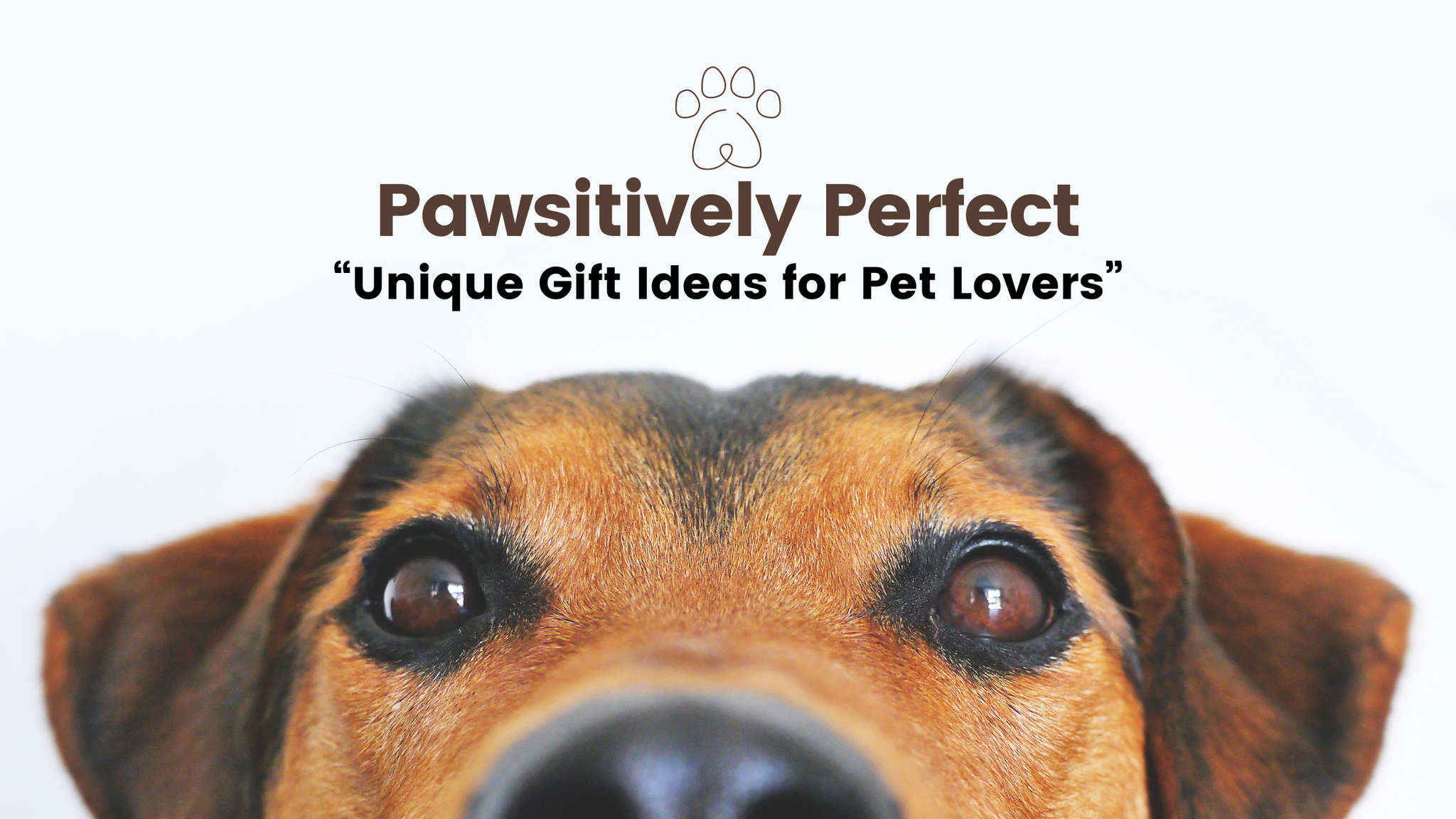 Pawsitively Perfect: Unique Gift Ideas for Pet Lovers