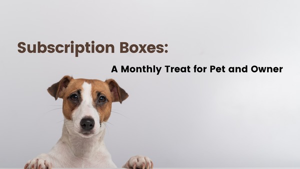 Subscription Boxes: A Monthly Treat for Pet and Owner