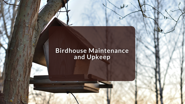 Birdhouse Maintenance and Upkeep