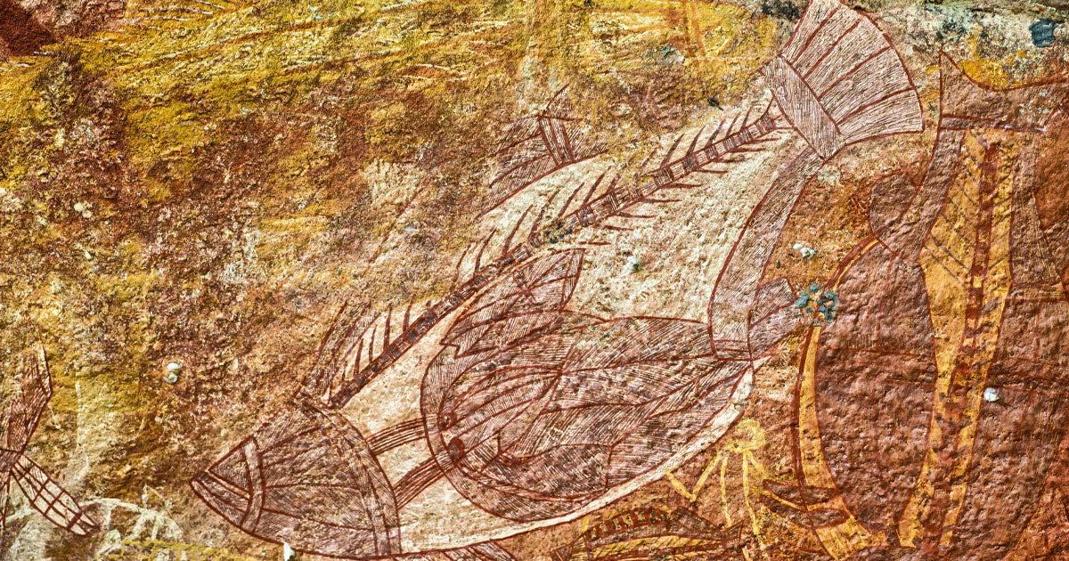 aboriginal rock art fish xray