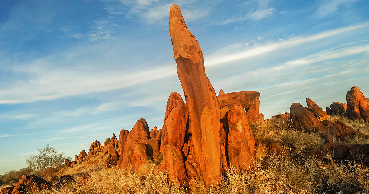 sacred site, water dreaming, Tanami Desert, Warlpiri country