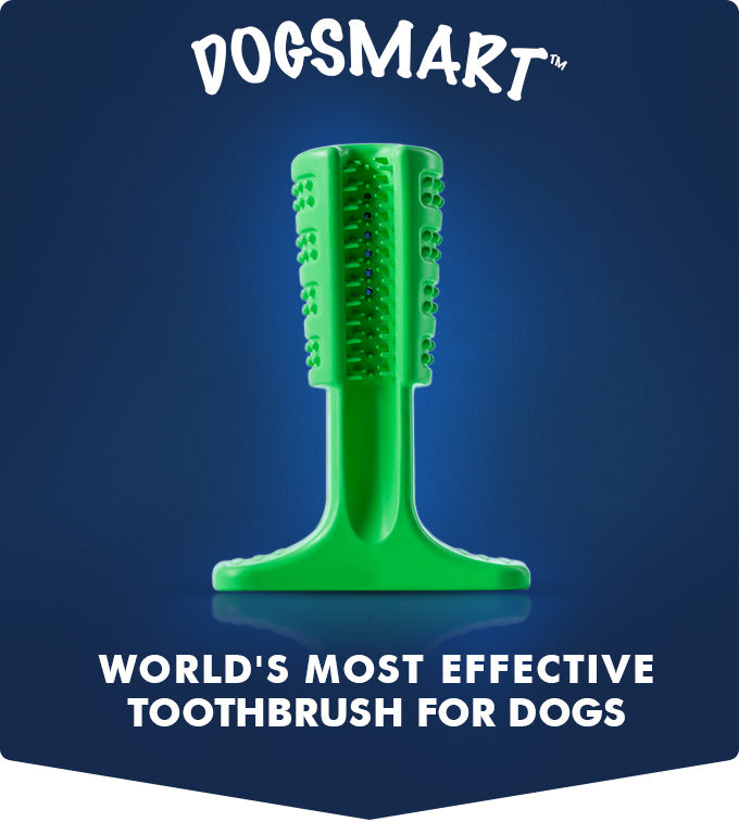 Effective Toothbrush for Dogs 