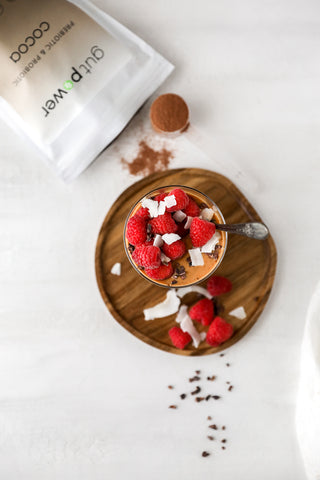 gut power chocolate overnight oats