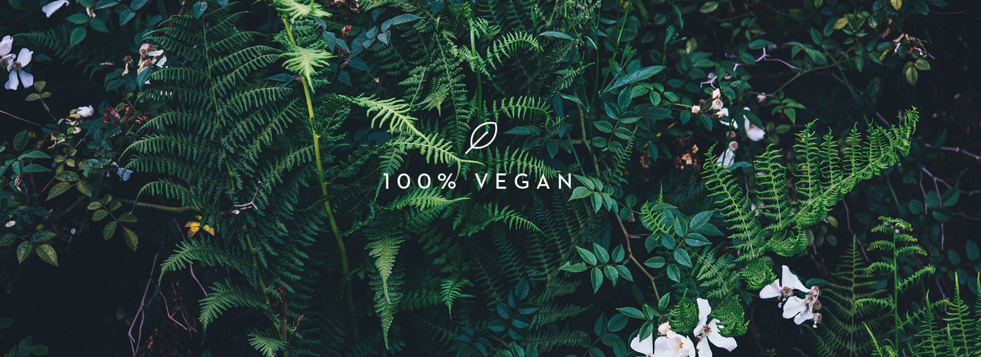 Vegan Products