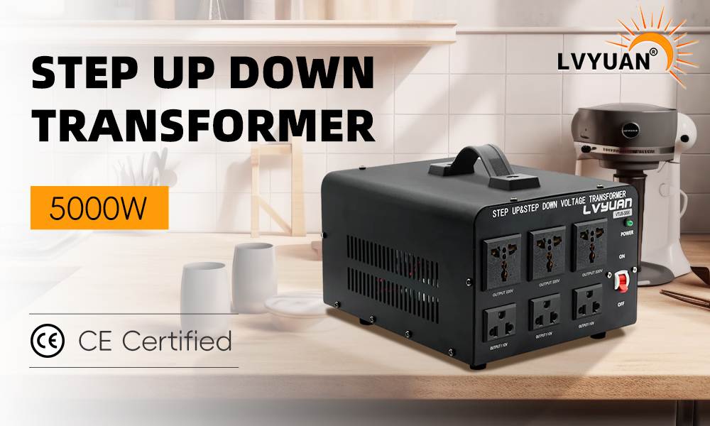 3000 Watt Power Convert from AC 110V ⇄ 220V Step up Down Transformer  voltage converter – LVYUAN