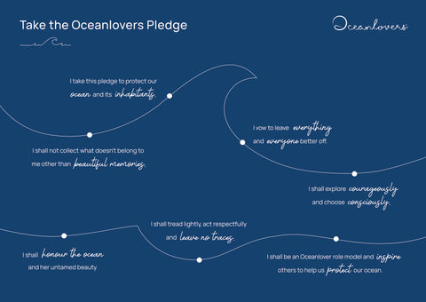 blue friday, ocean conservation, slow fashion