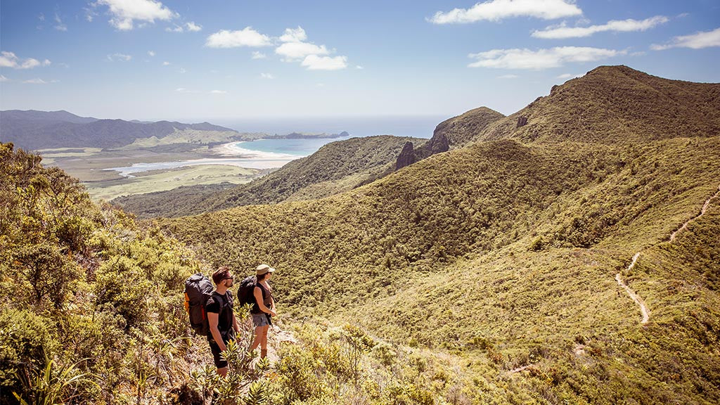 Aotea Track, Great Barrier Island 